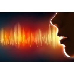 ZP041 Sprachalarmierung